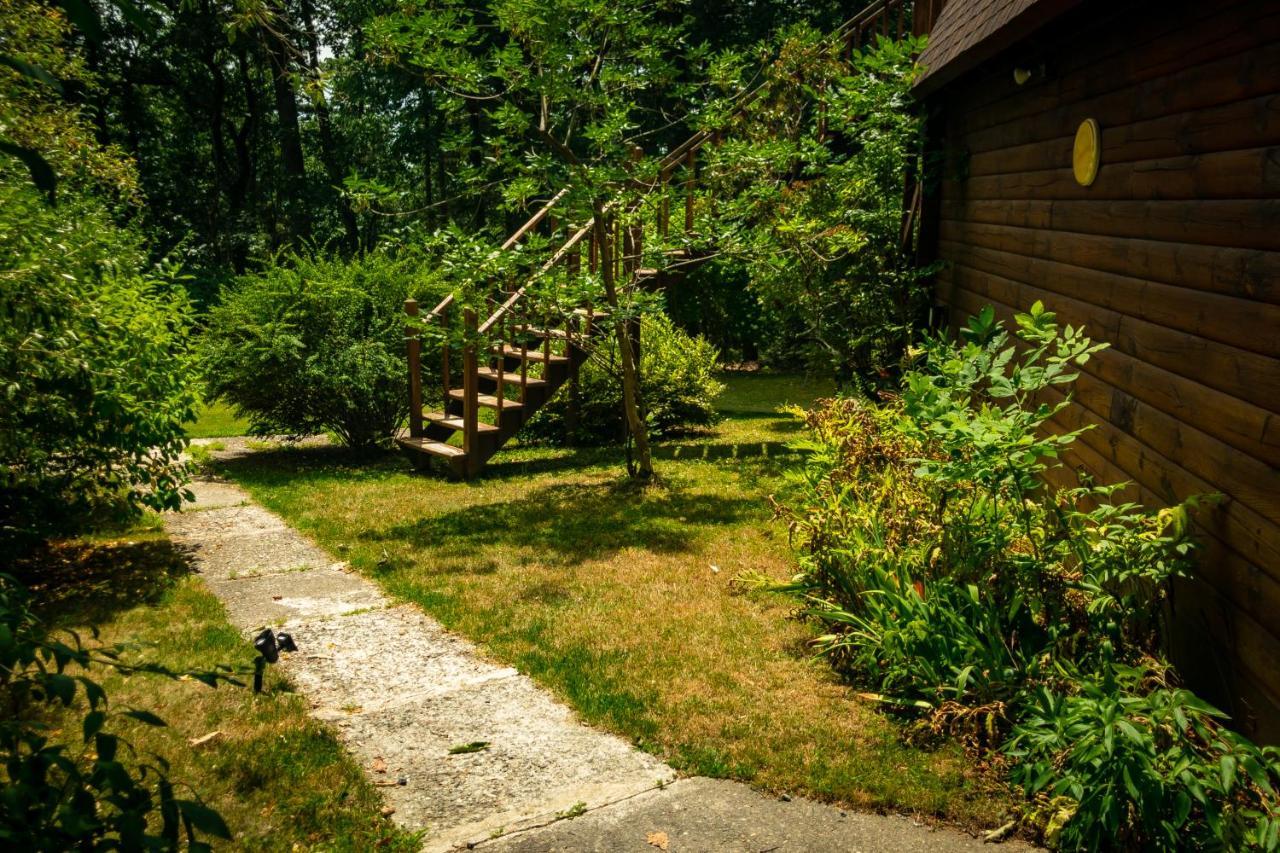 Hikers Haven, A Cozy Cabin Loft Above Bashakill Wildlife Refuge Villa Wurtsboro Buitenkant foto