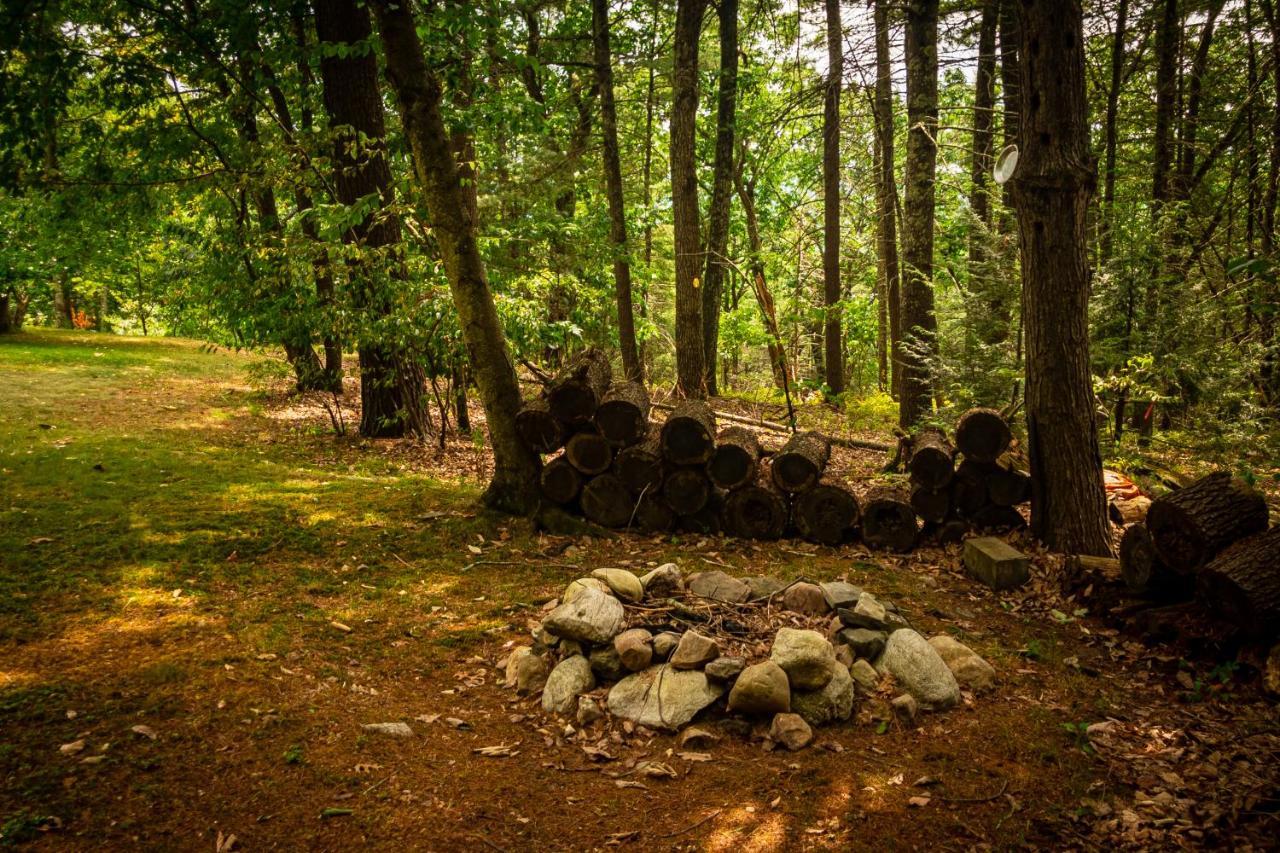 Hikers Haven, A Cozy Cabin Loft Above Bashakill Wildlife Refuge Villa Wurtsboro Buitenkant foto
